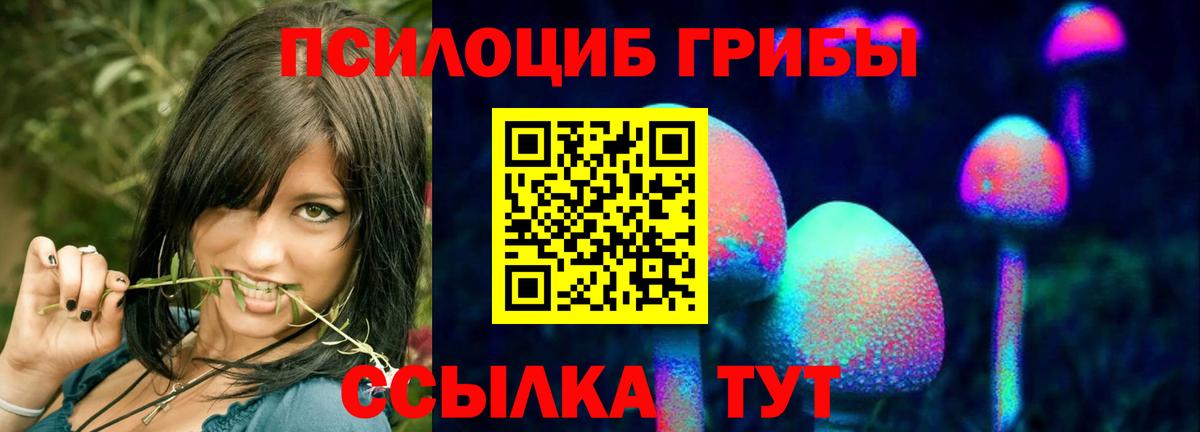 Губкин  Псилоцибиновые грибы Magic Shrooms  Вход с VPN  Псилоцибиновые грибы ЛСД 